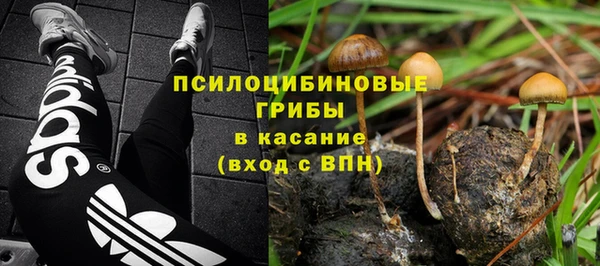 ECSTASY Абинск